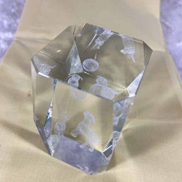 Playing Dogs Ball Puppies Laser Etched Crystal Glass Rectangle Paperweight 3D - Picture 7 of 10